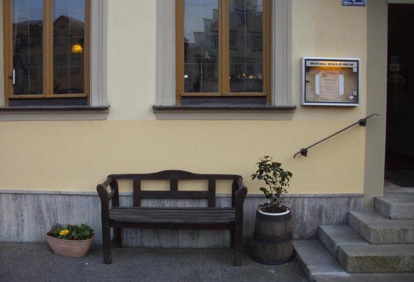호텔 Walfisch
