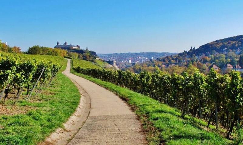 호텔 Wurzburger Hof