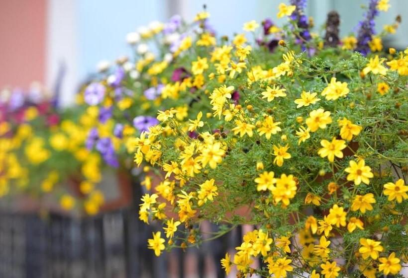 호텔 Zrenners Garni