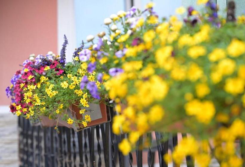 호텔 Zrenners Garni