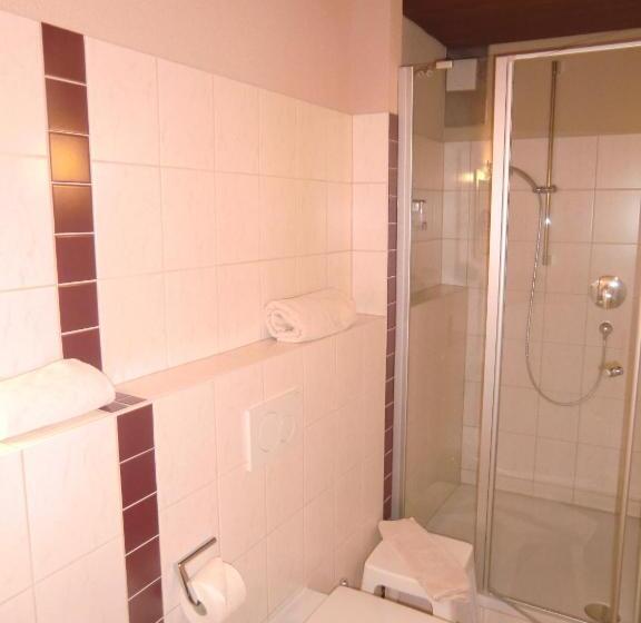 호텔 Zrenners Garni