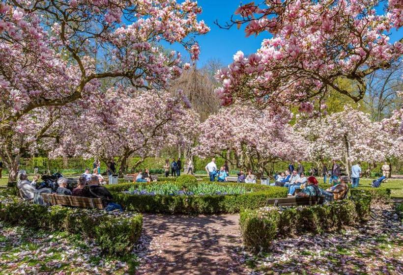 Отель Zum Goldenen Ochsen Am Schlossgarten