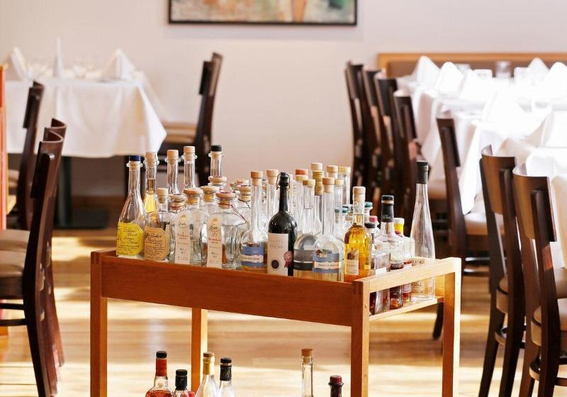 Отель Zum Goldenen Ochsen Am Schlossgarten