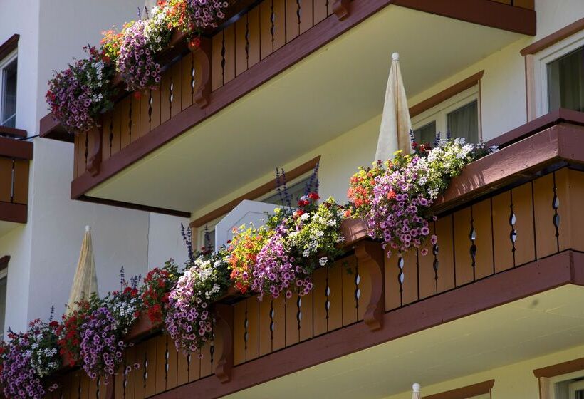 Ringhotel Nebelhornblick