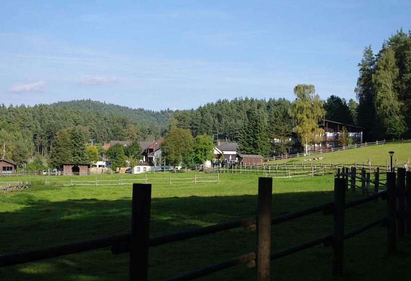 Waldhotel Bächlein