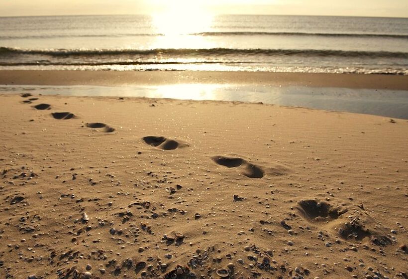 ホテル Aalbæk Bade