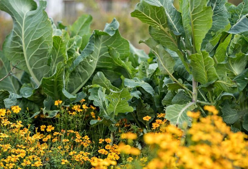 Best Western Hotel Hillerød