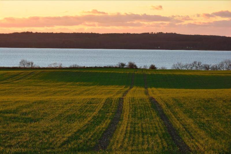 ホテル Fredensborg Store Kro