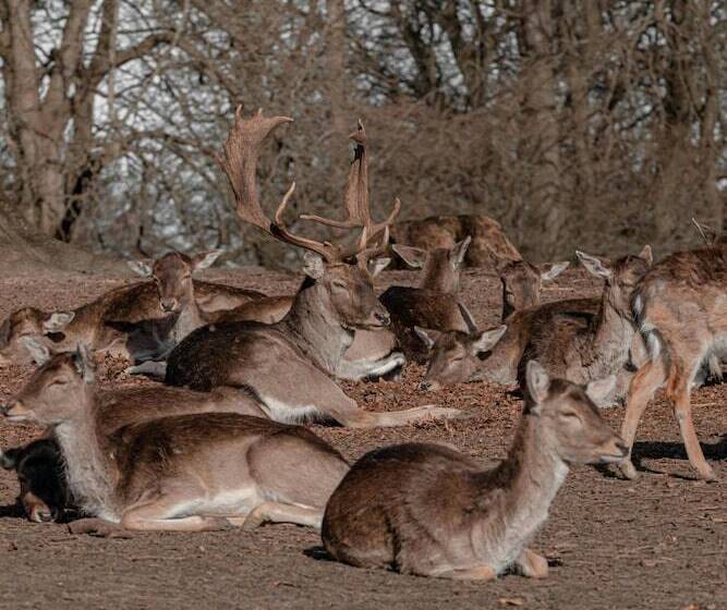 فندق Helnan Marselis