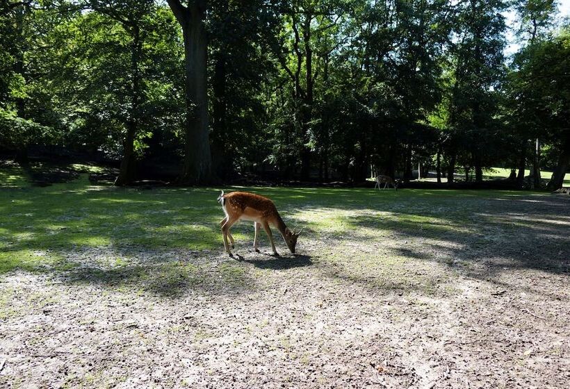 فندق Helnan Marselis