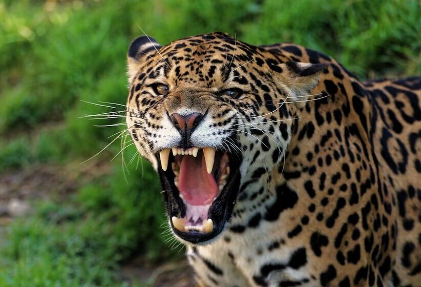 فندق Kryb I Ly Kro