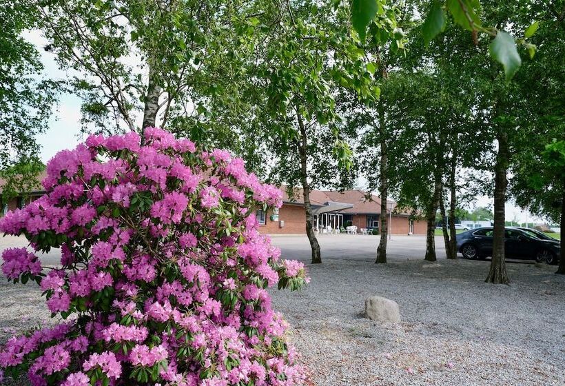 فندق Lynggaarden