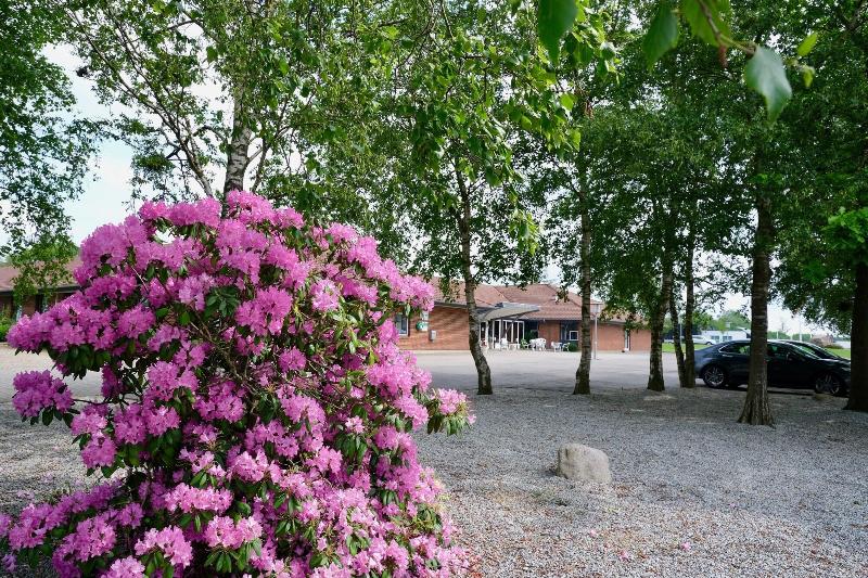 فندق Lynggaarden