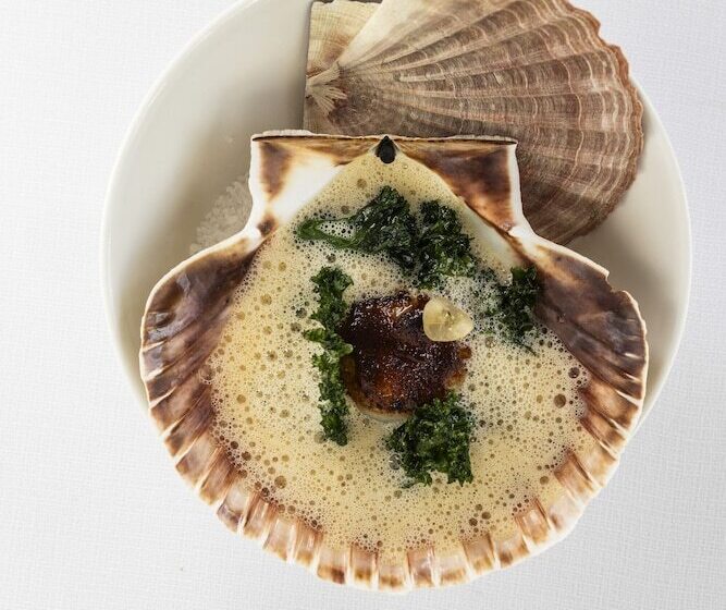 Отель Molskroen