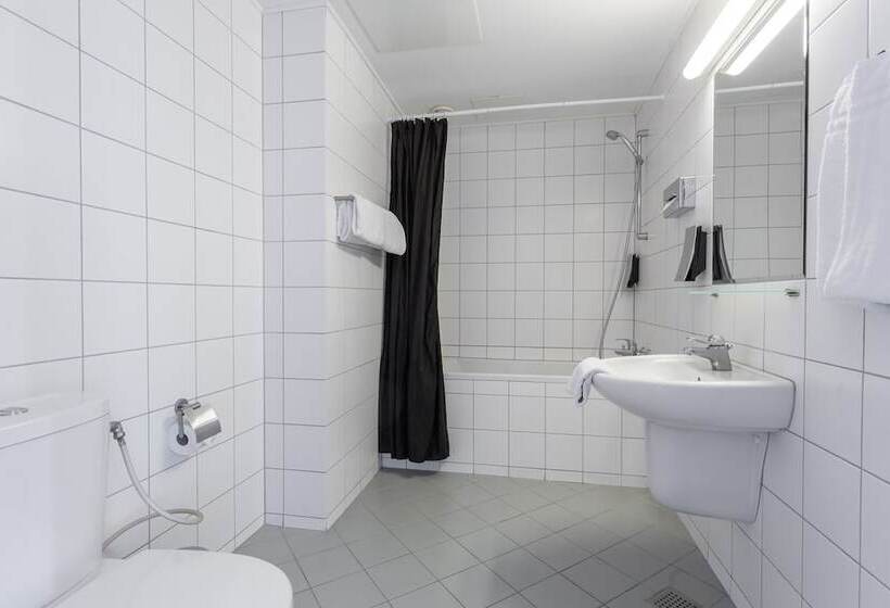 Profilhotels Mercur