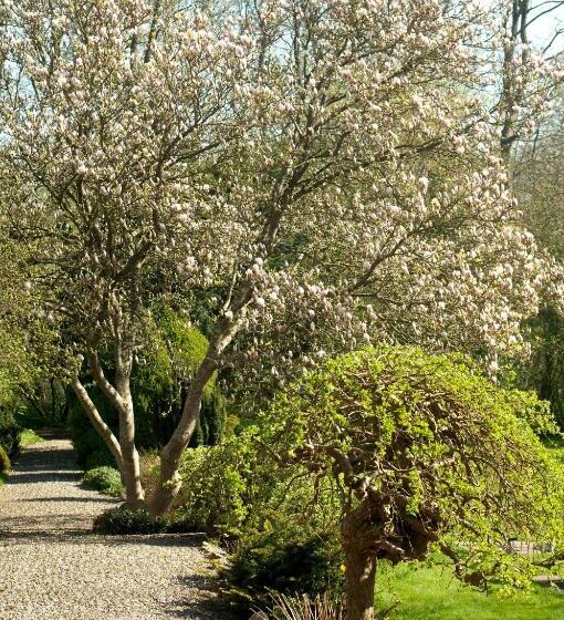 בית מלון כפרי Purhus Kro