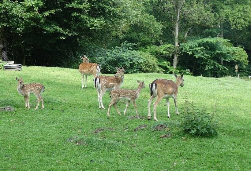בית מלון כפרי Rold Storkro