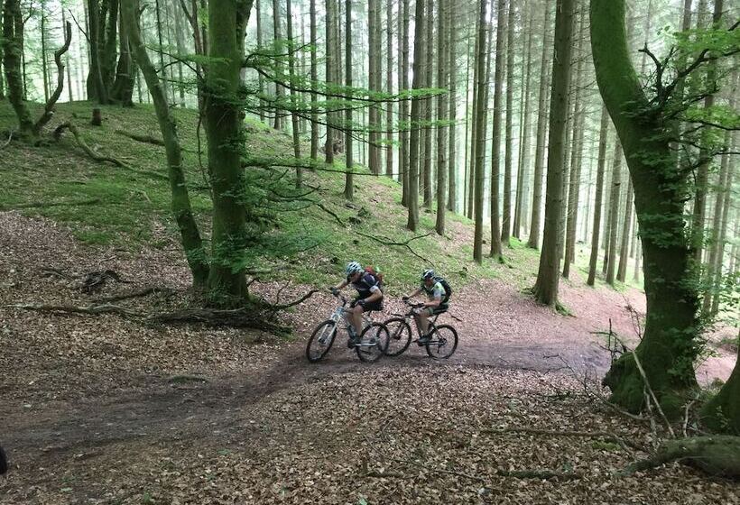 בית מלון כפרי Rold Storkro