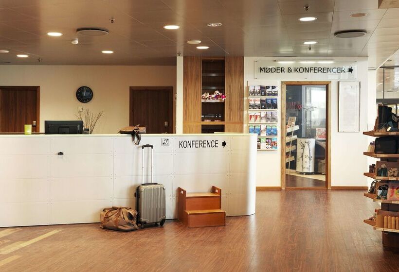 فندق Scandic Eremitage