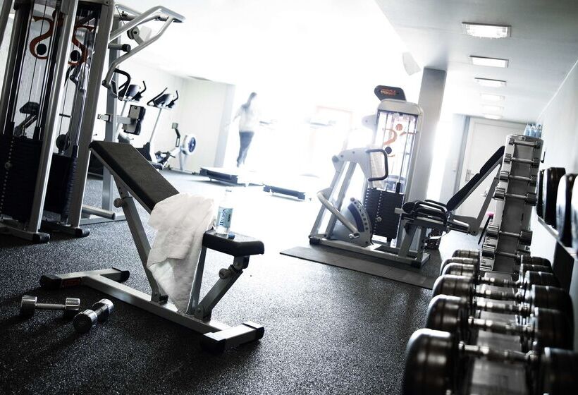 בית מלון כפרי Scandic Front