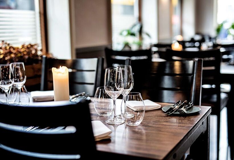 فندق Scandic The Mayor