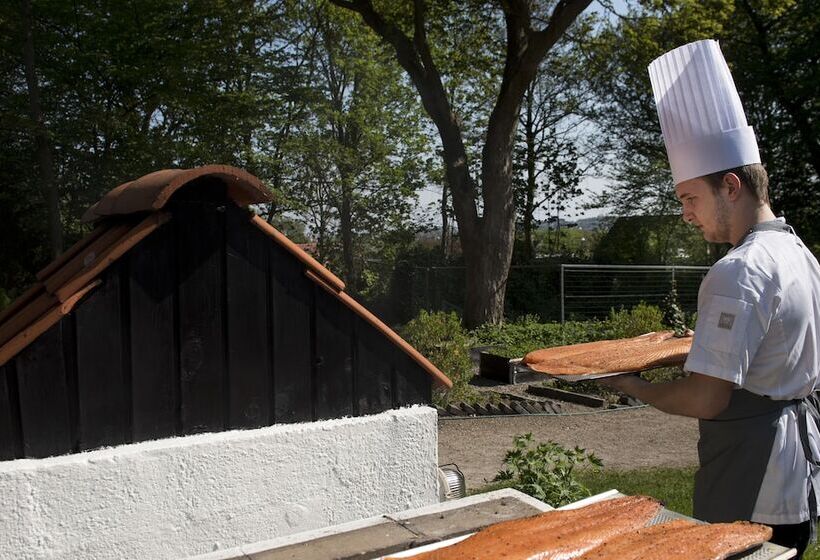 فندق Scheelsminde