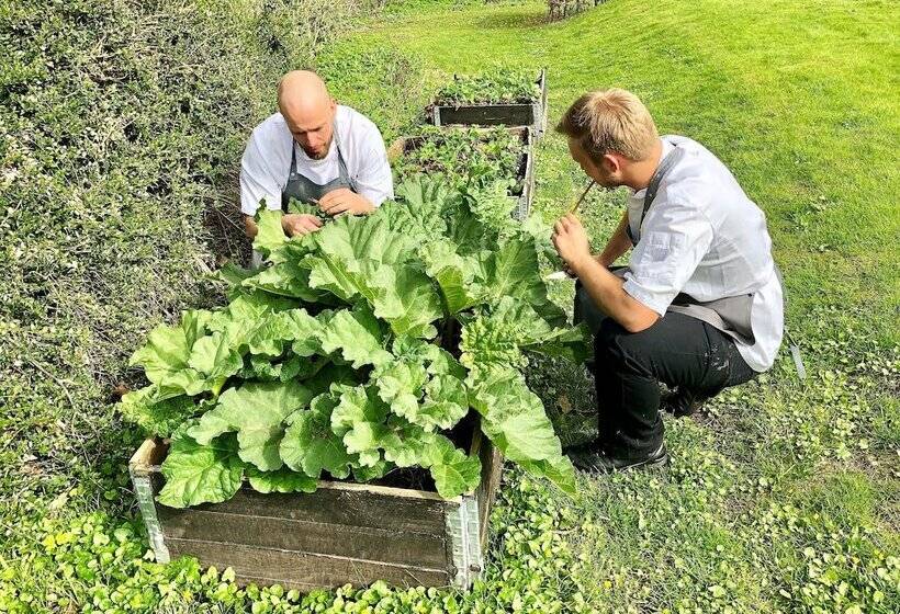 فندق Scheelsminde