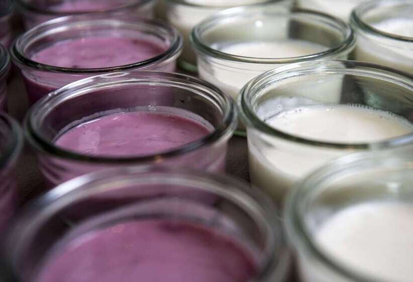 فندق Scheelsminde