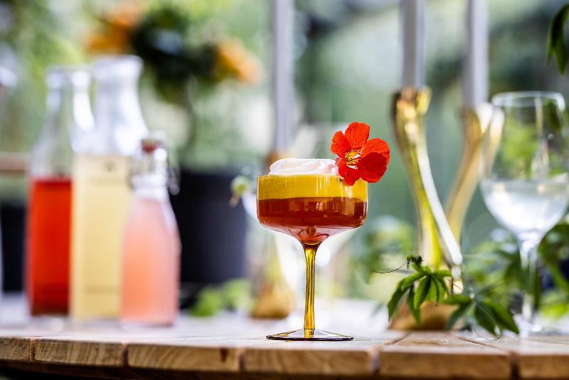 فندق Scheelsminde