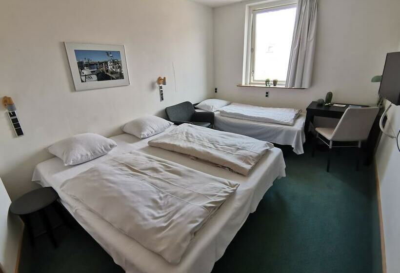 בית מלון כפרי Skandinavien