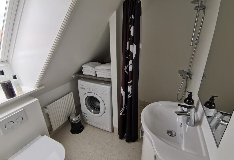 בית מלון כפרי Skandinavien