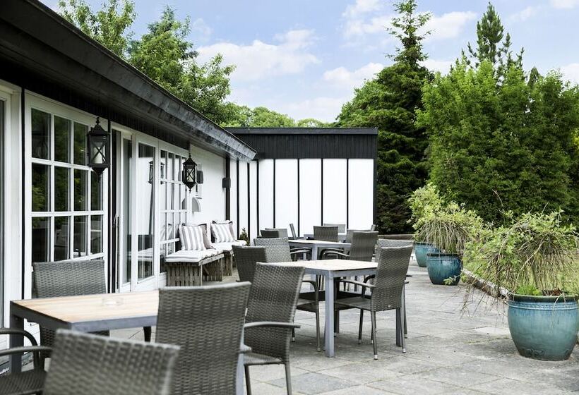 בית מלון כפרי Skjalm Hvide