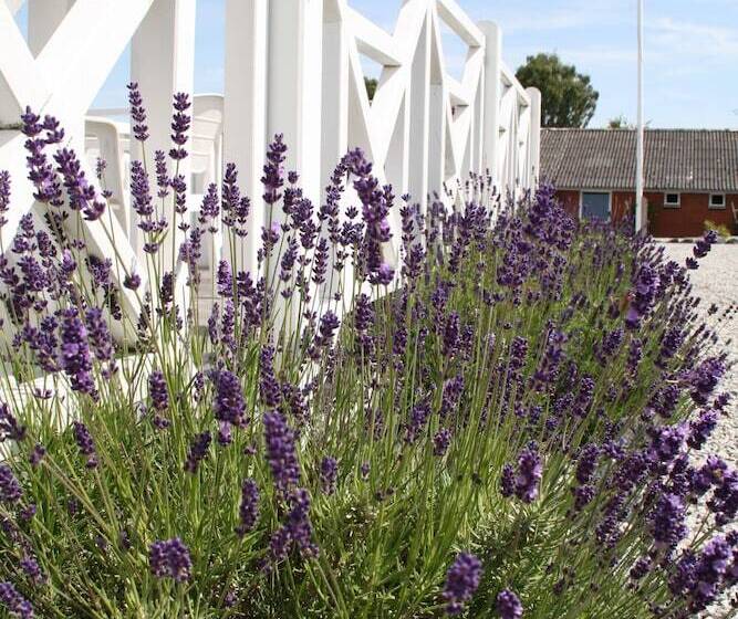 בית מלון כפרי Slukefter Kro