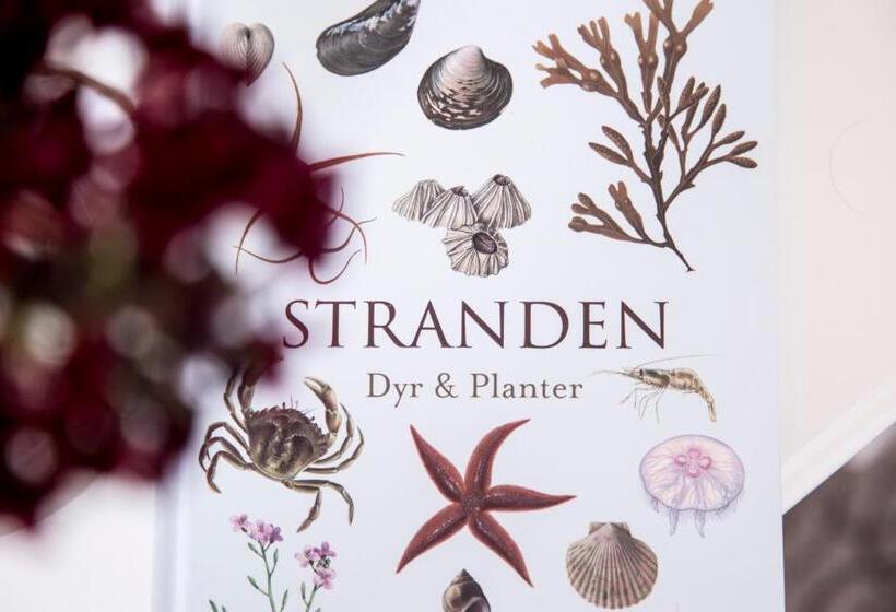 فندق Tambohus Kro & Bade