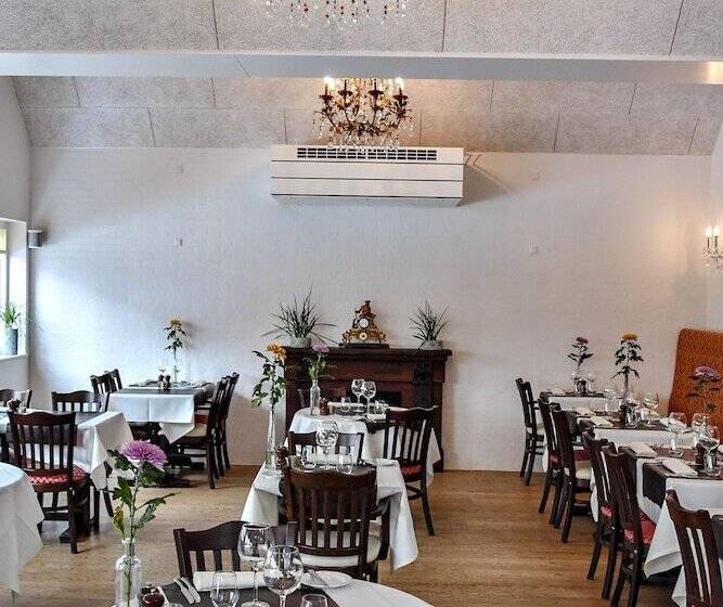 בית מלון כפרי Thinggaard