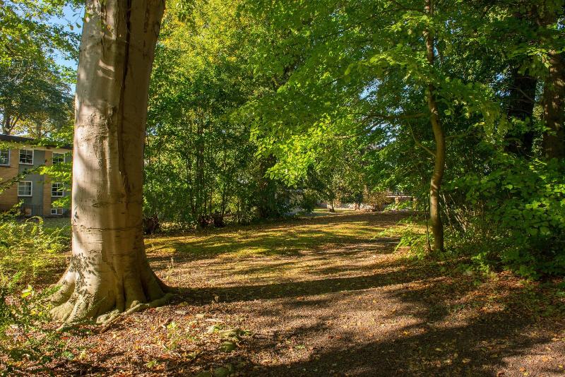 מוטל Blommenslyst Kro