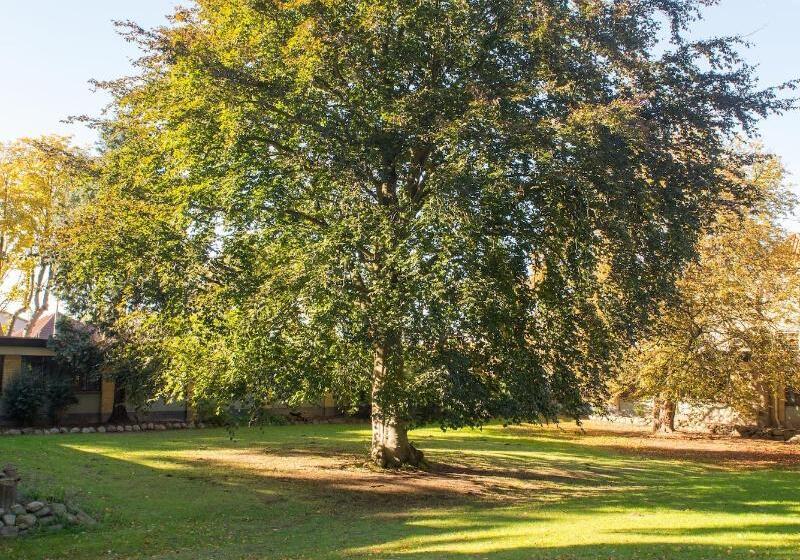 מוטל Blommenslyst Kro