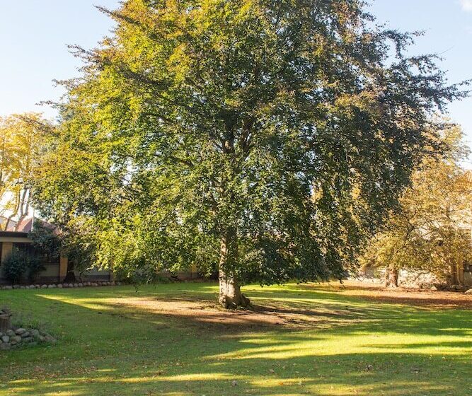 מוטל Blommenslyst Kro