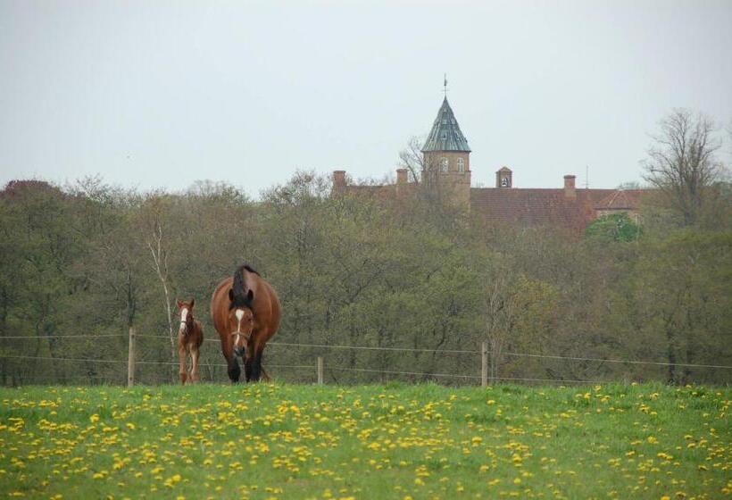 汽车旅馆  Gjerrild Kro