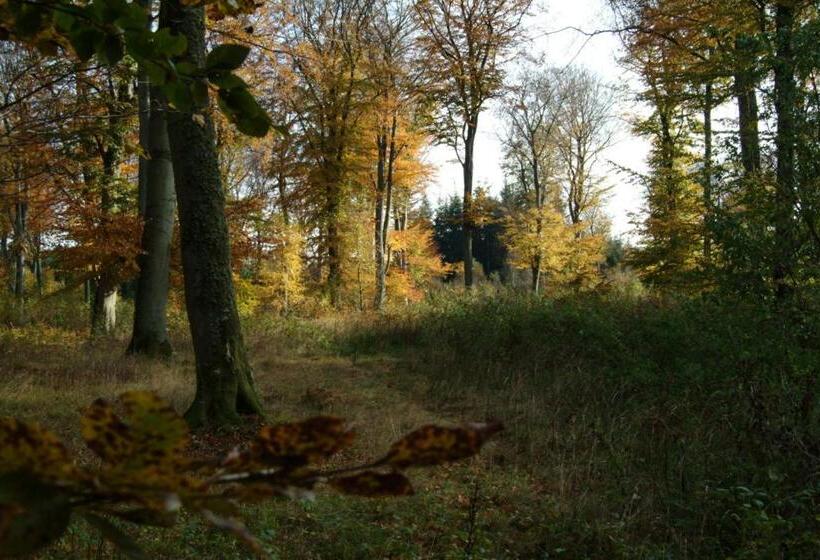 汽车旅馆  Gjerrild Kro