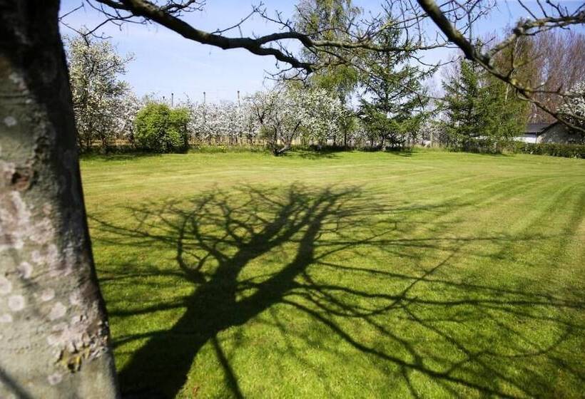 Motel Højmølle Kro