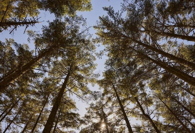 Strandhotel Klitrosen