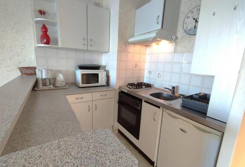 Appartement Vue Mer Exceptionnelle Avec Terrasse Et Parking à Trégastel   2 Chambres   Fr 1 368 29