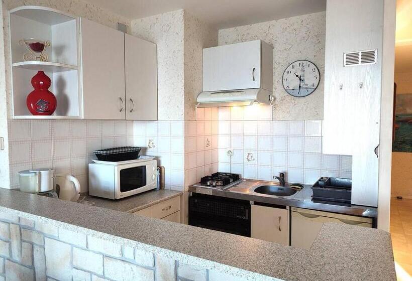 Appartement Vue Mer Exceptionnelle Avec Terrasse Et Parking à Trégastel   2 Chambres   Fr 1 368 29