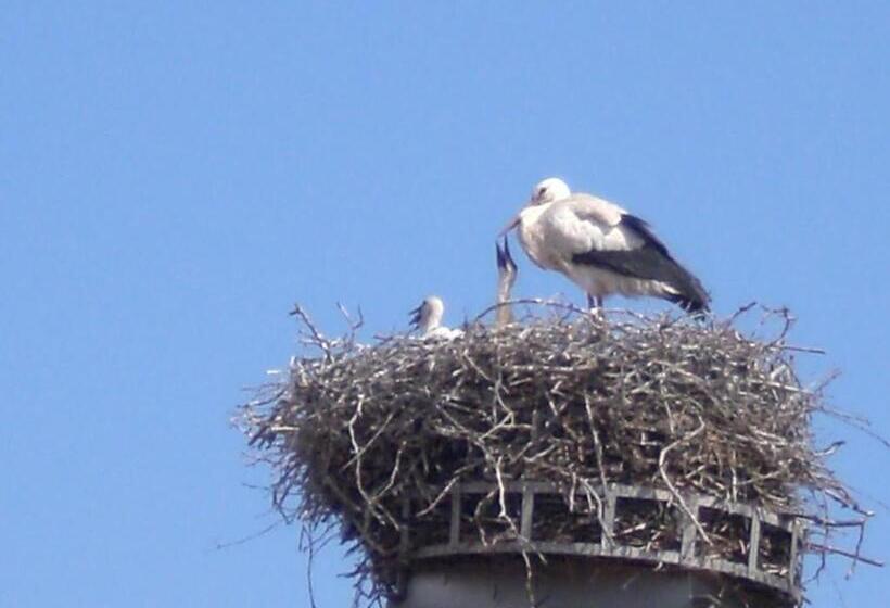 فندق Aigle D Or  Strasbourg Nord