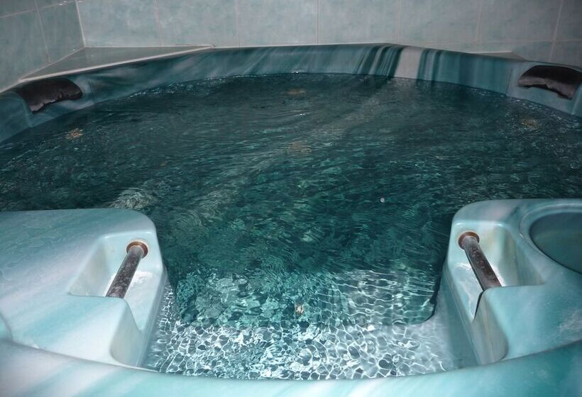 Отель Aiguille Du Midi Hôtel & Restaurant