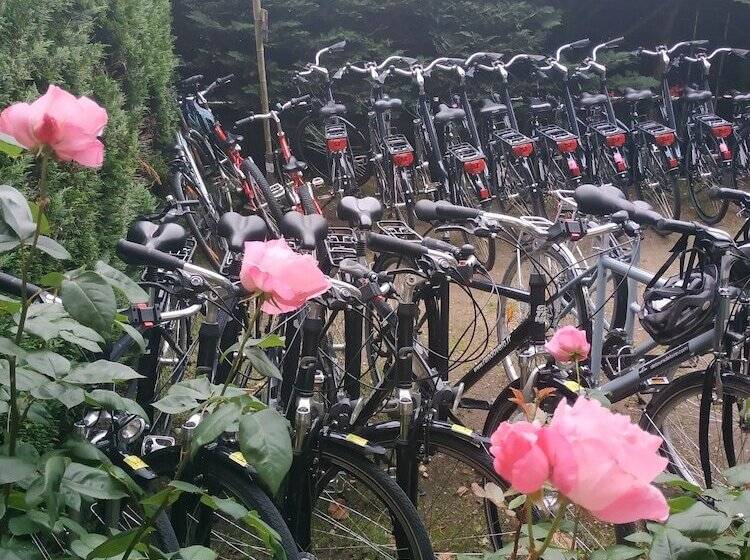 酒店 Anne De Bretagne Blois