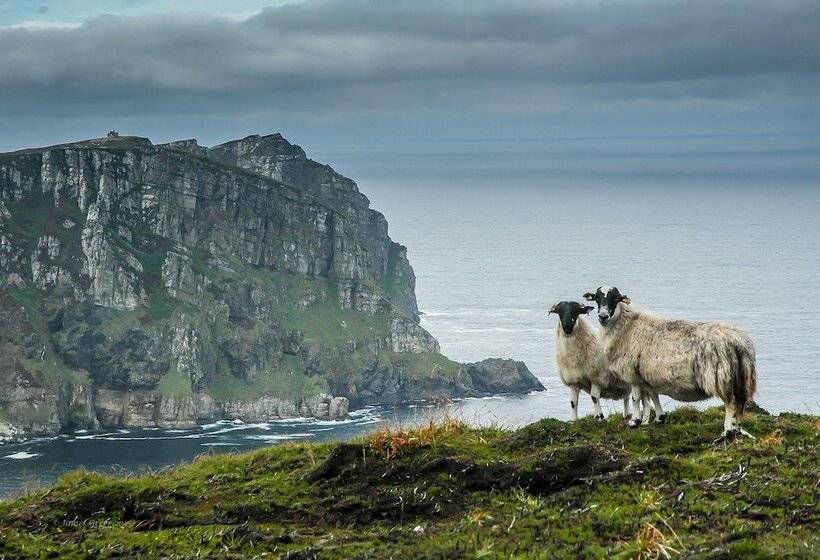 בית מלון כפרי Arnolds