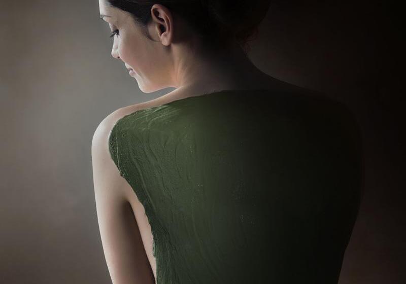 호텔 Hôtel Valdys Thalasso & Spa   Les Pins