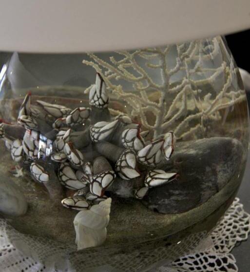 Отель Atlantique